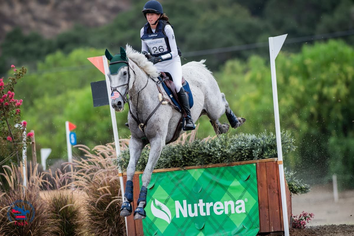 2025 AEC TIP Winners