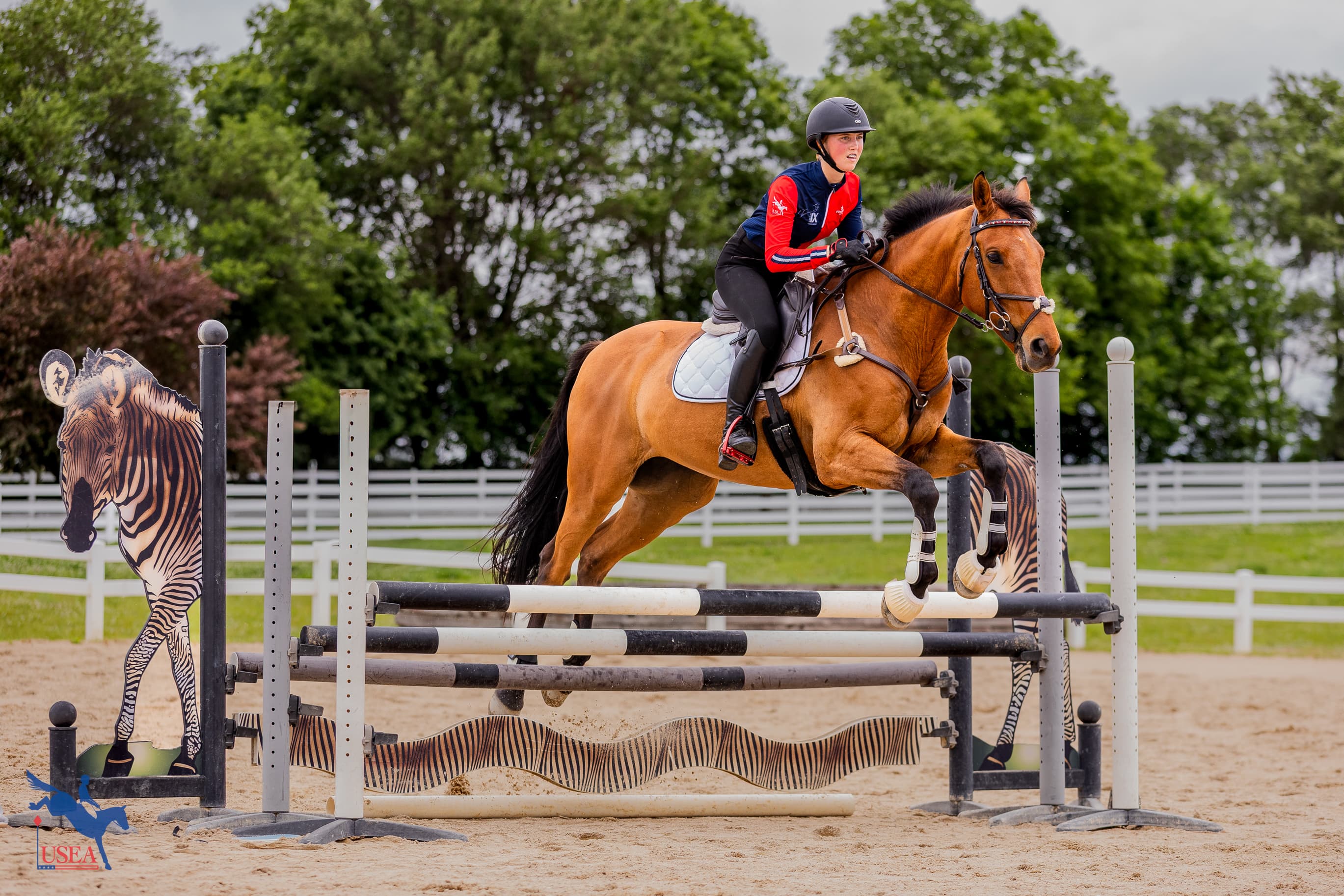 Abigail Williams. USEA/Haley Johnson photo