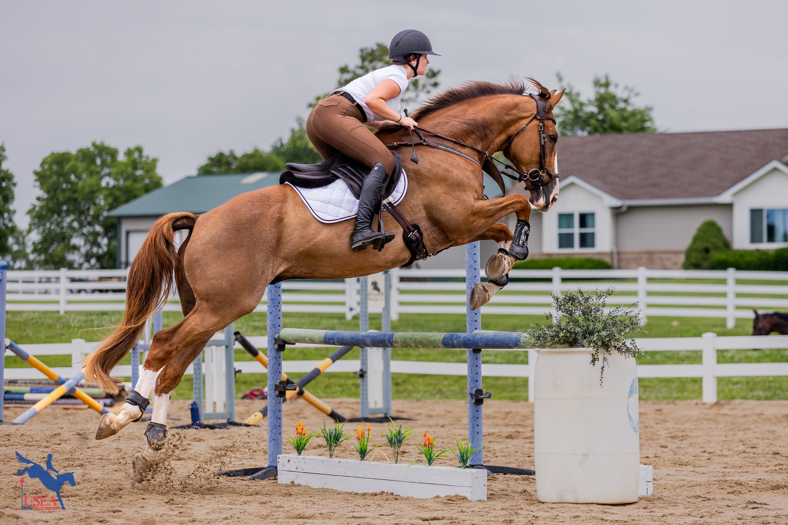 Carter Jackson. USEA/Haley Johnson photo