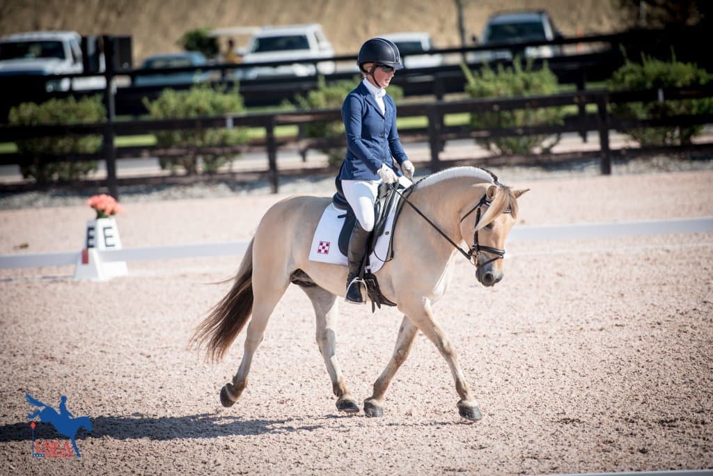From the Judge’s Box: Dressage Test + Cross-Country Riding Tips