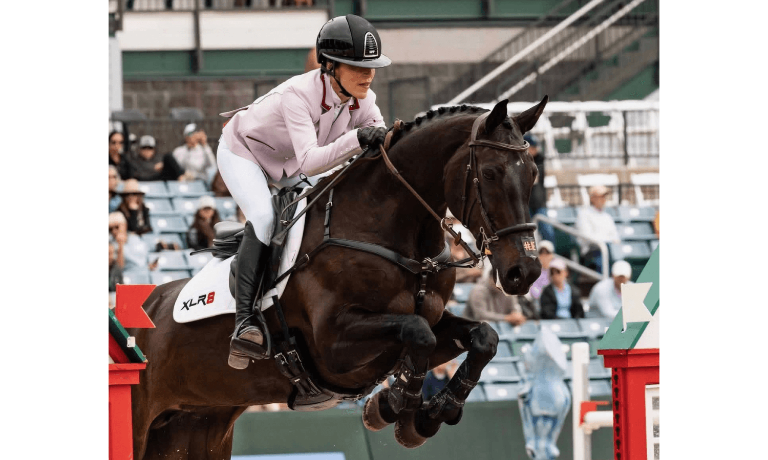 The Work of Breathing: Respiratory Load and the Young Event Horse