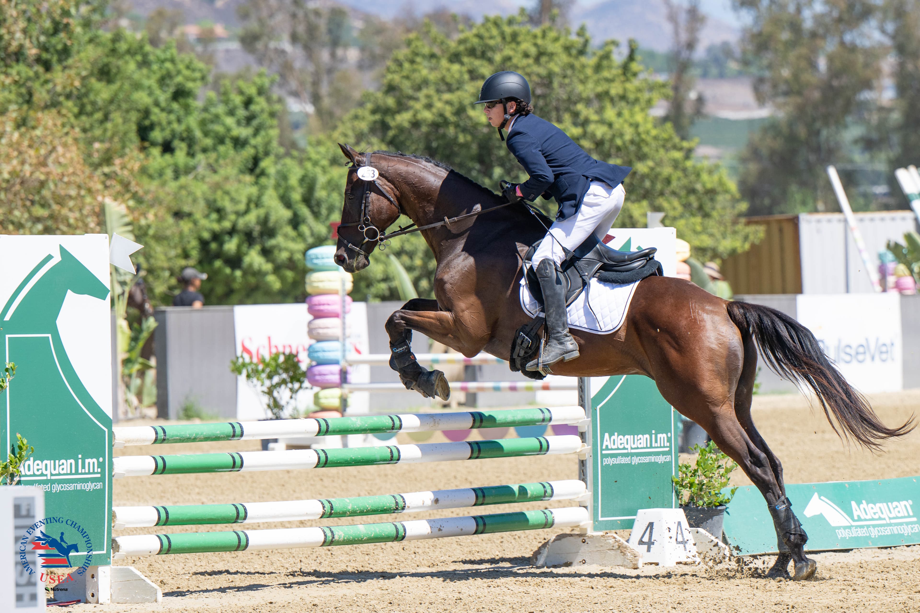 Novice Junior Reserve Champions: Nate Hoag and Lucky Charm. USEA/Veronica Green-Gott photo