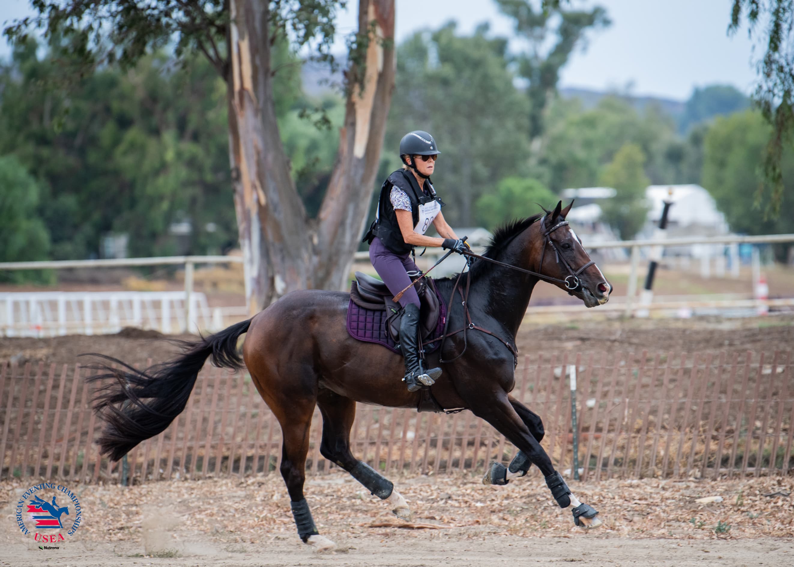 Training Amateur Champions: Darlene McInnis and Jimmy Wofford. USEA/Lindsay Berreth photo
