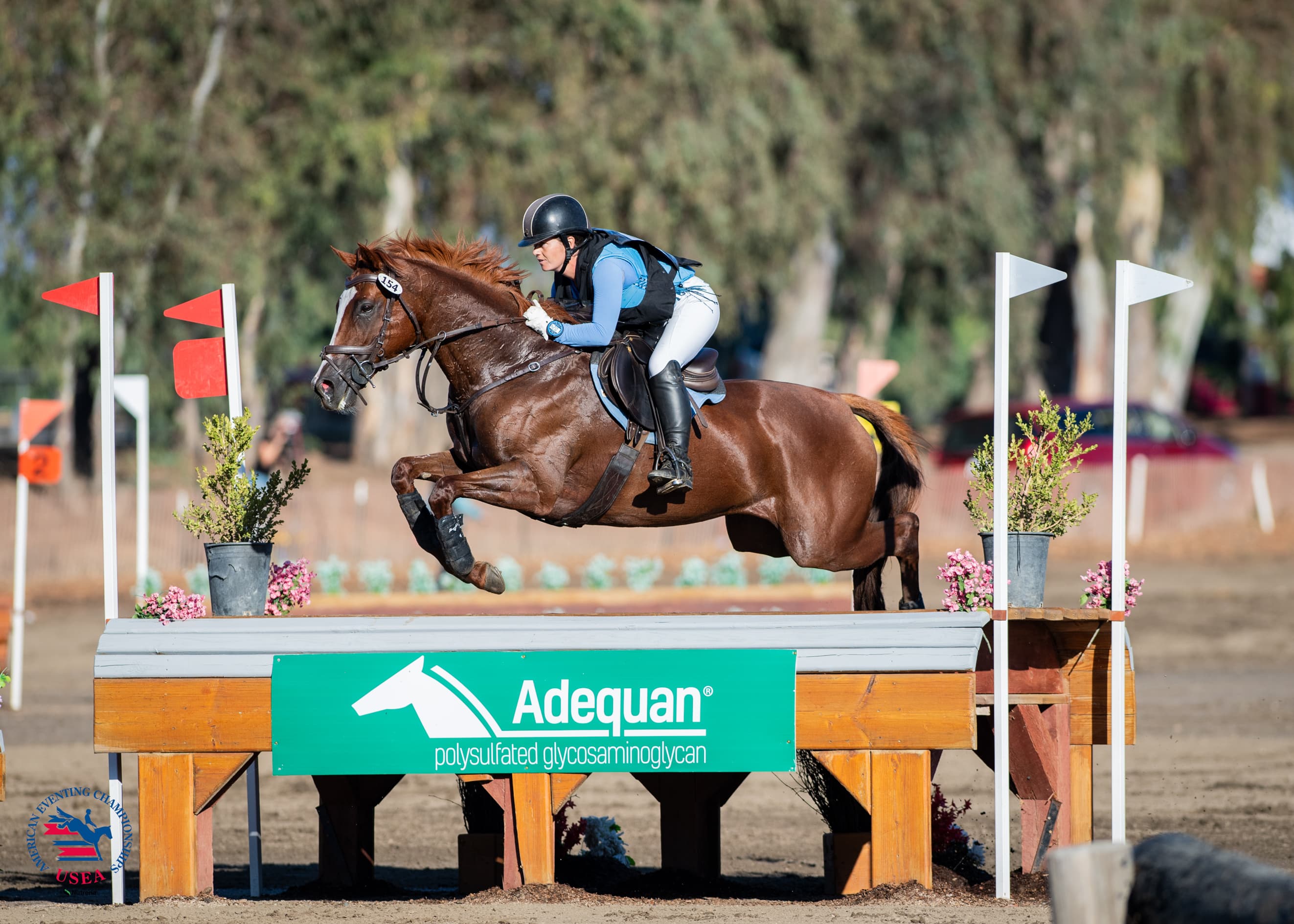 Open Intermediate Reserve Champions: Anna Stein-Copner and Lucy Lucy Lucy. USEA/Lindsay Berreth photo