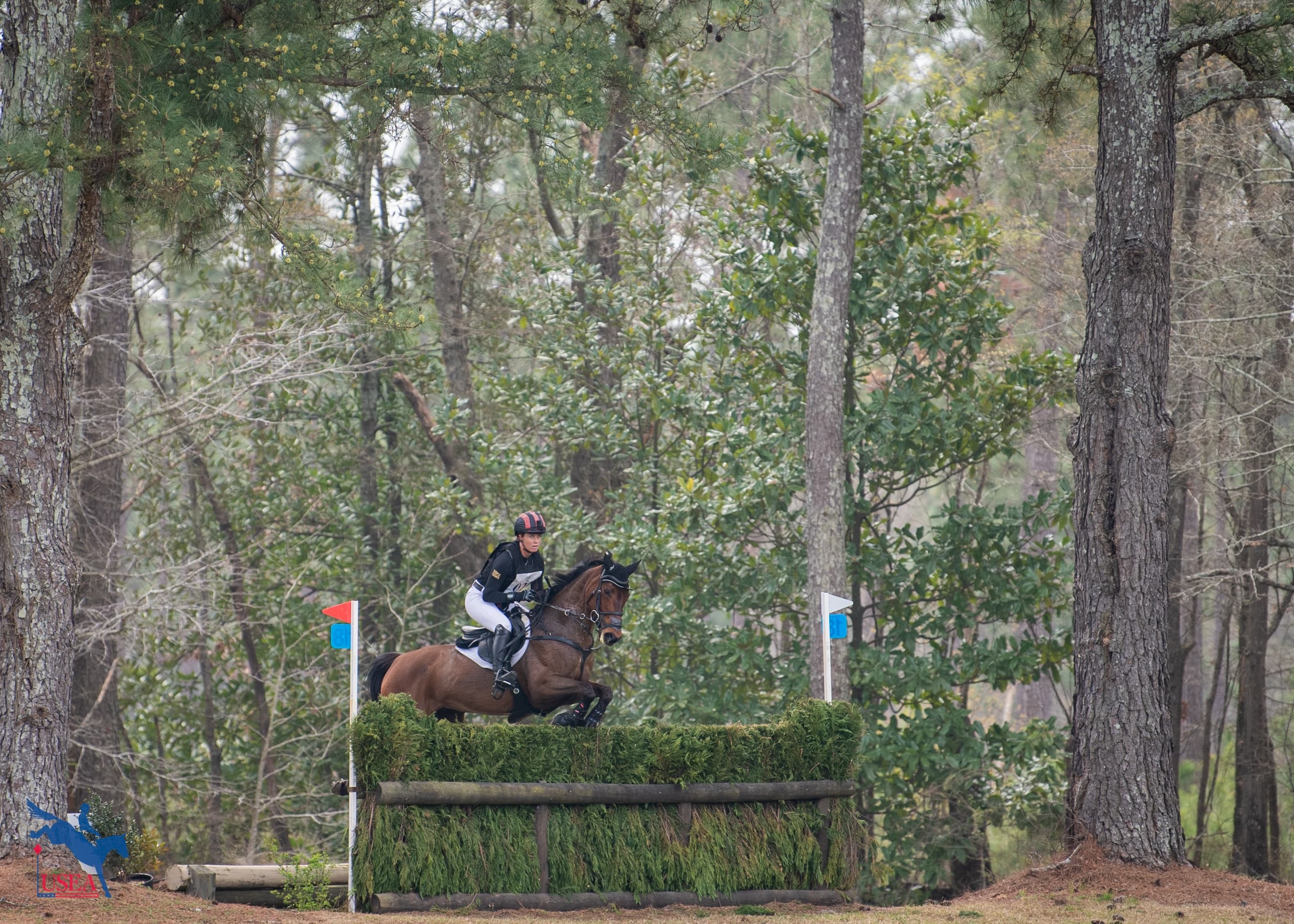 USEA/Lindsay Berreth photo