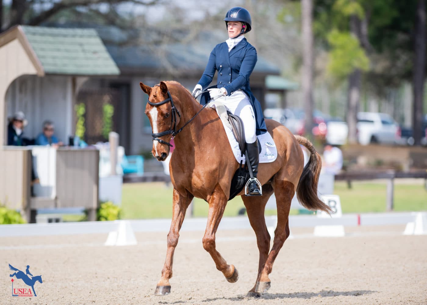Allie Knowles and Morswood are in third. USEA/Lindsay Berreth photo