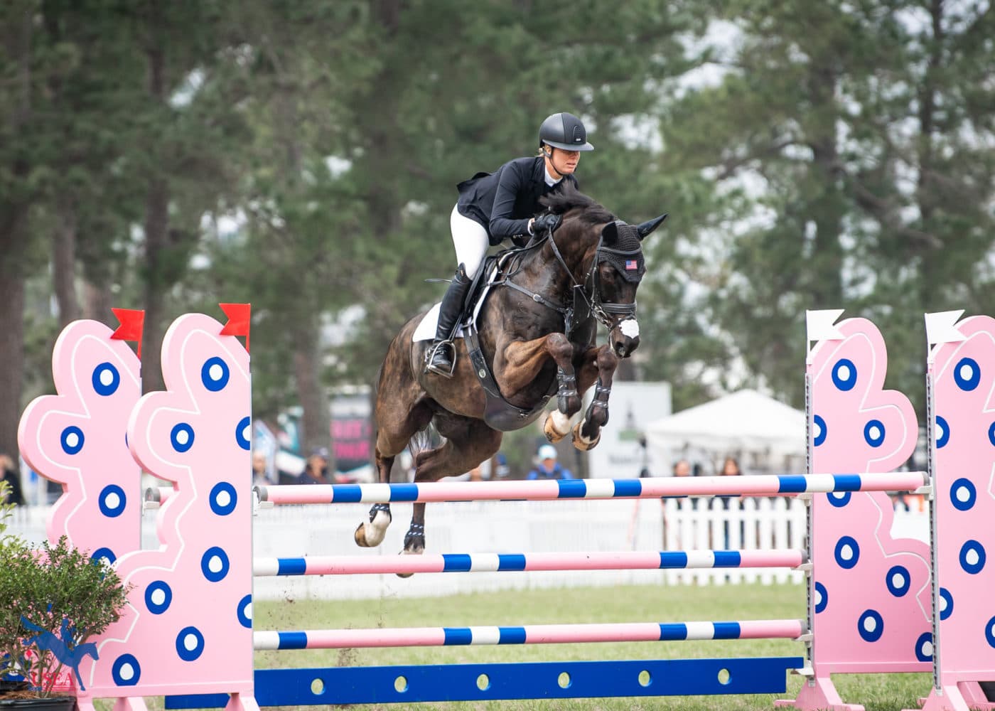 Caroline Pamukcu's 2024 Paris Olympics horse HSH Blake had an easy pop around the CCI3*-S. USEA/Lindsay Berreth photo