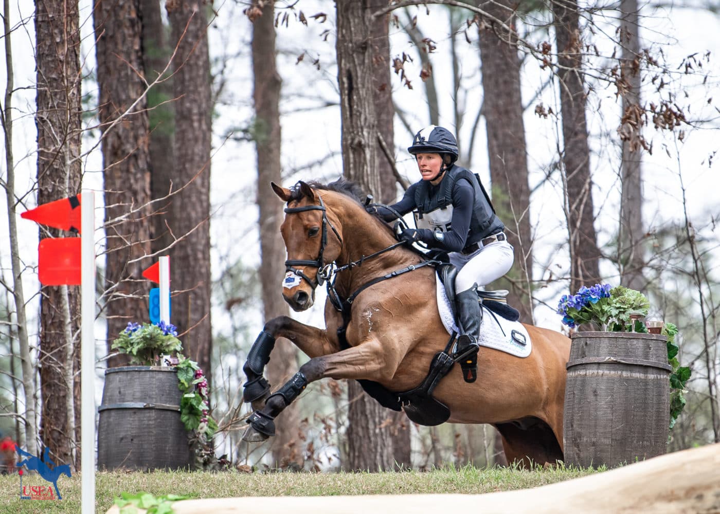 Savannah Fulton and Cash Point tackled the Normandy Bank on the CCI4*-S course. USEA/Lindsay Berreth photo
