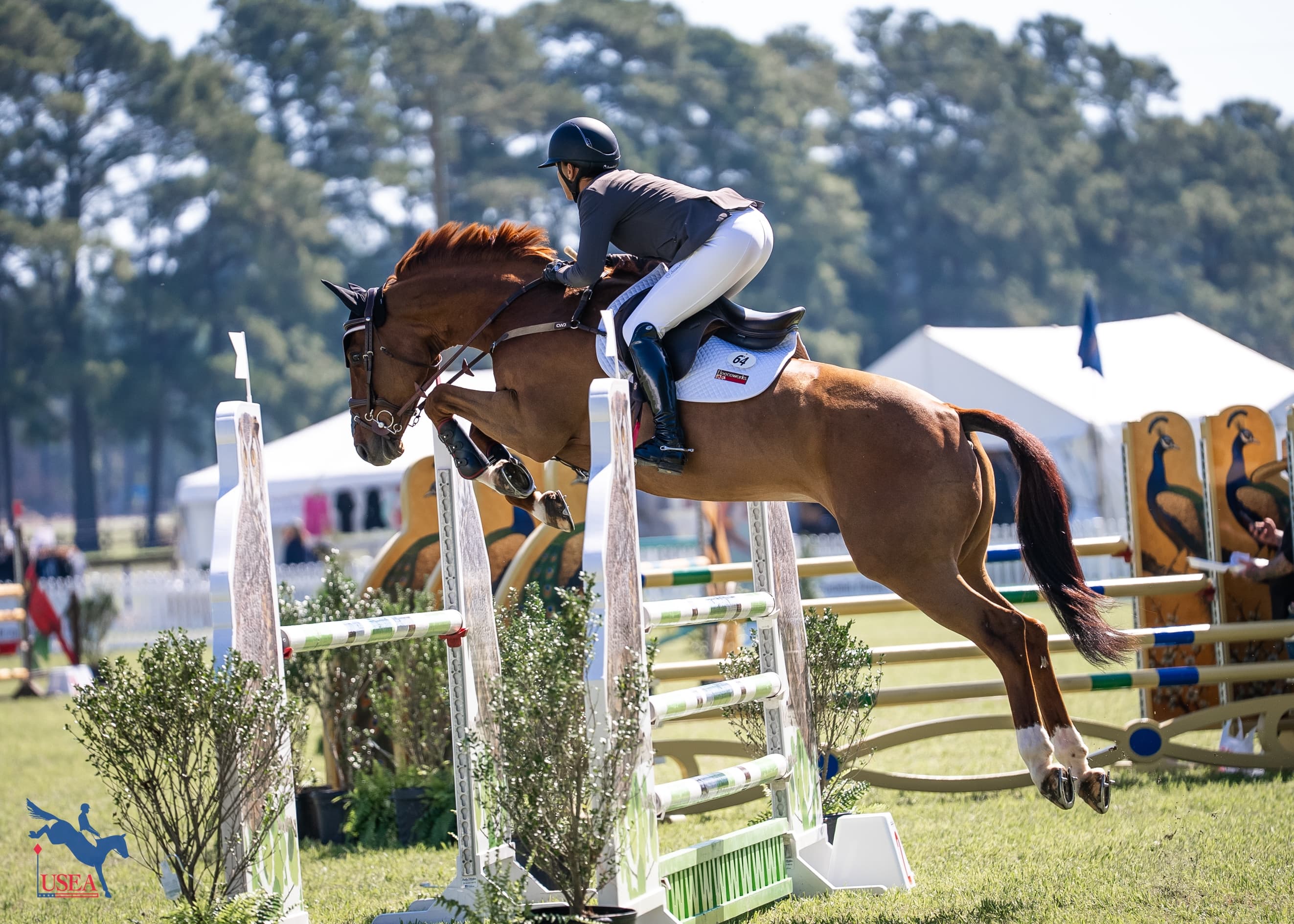 USEA/Lindsay Berreth photo