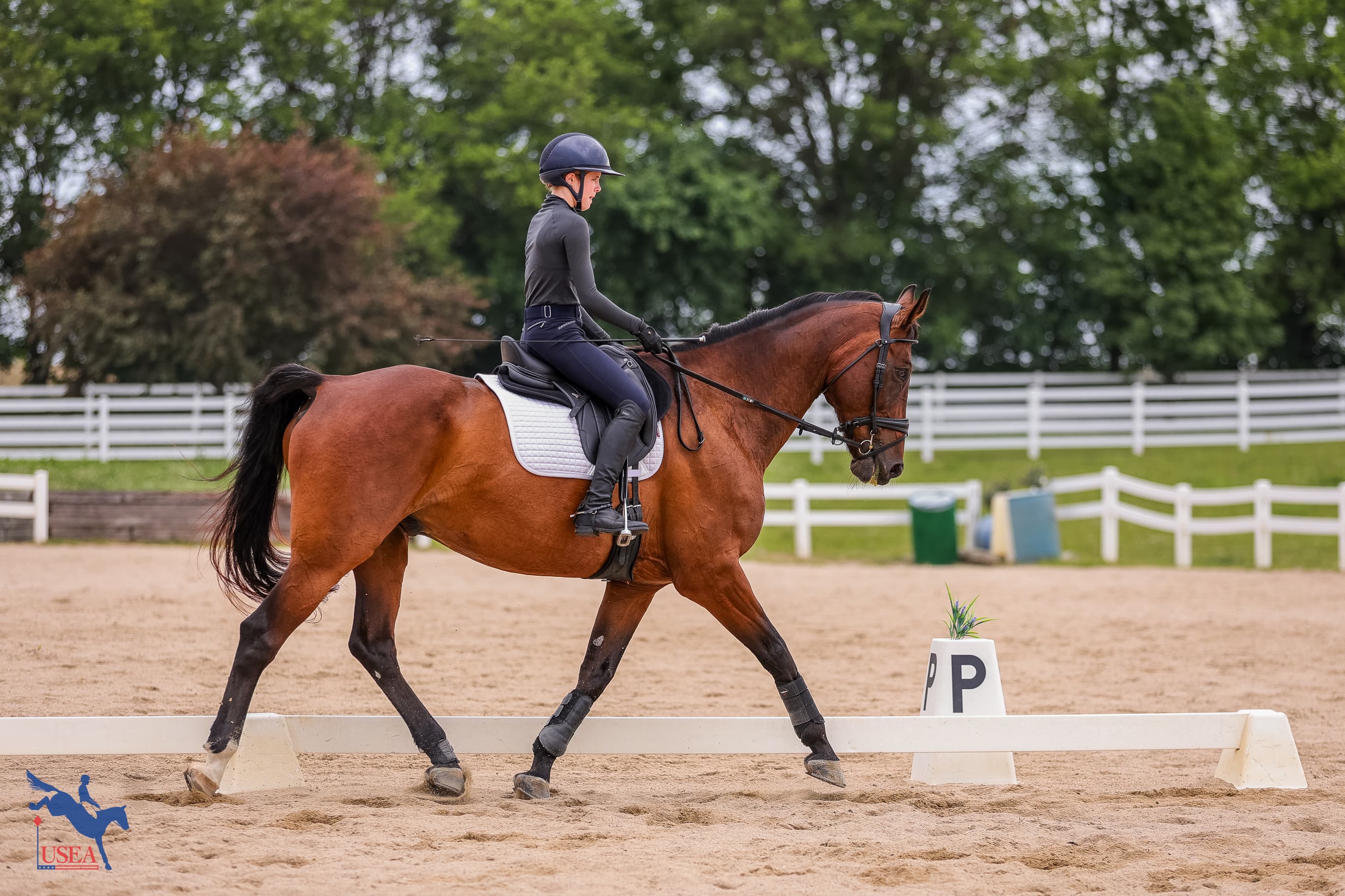 Sophia Street. USEA/Haley Johnson photo