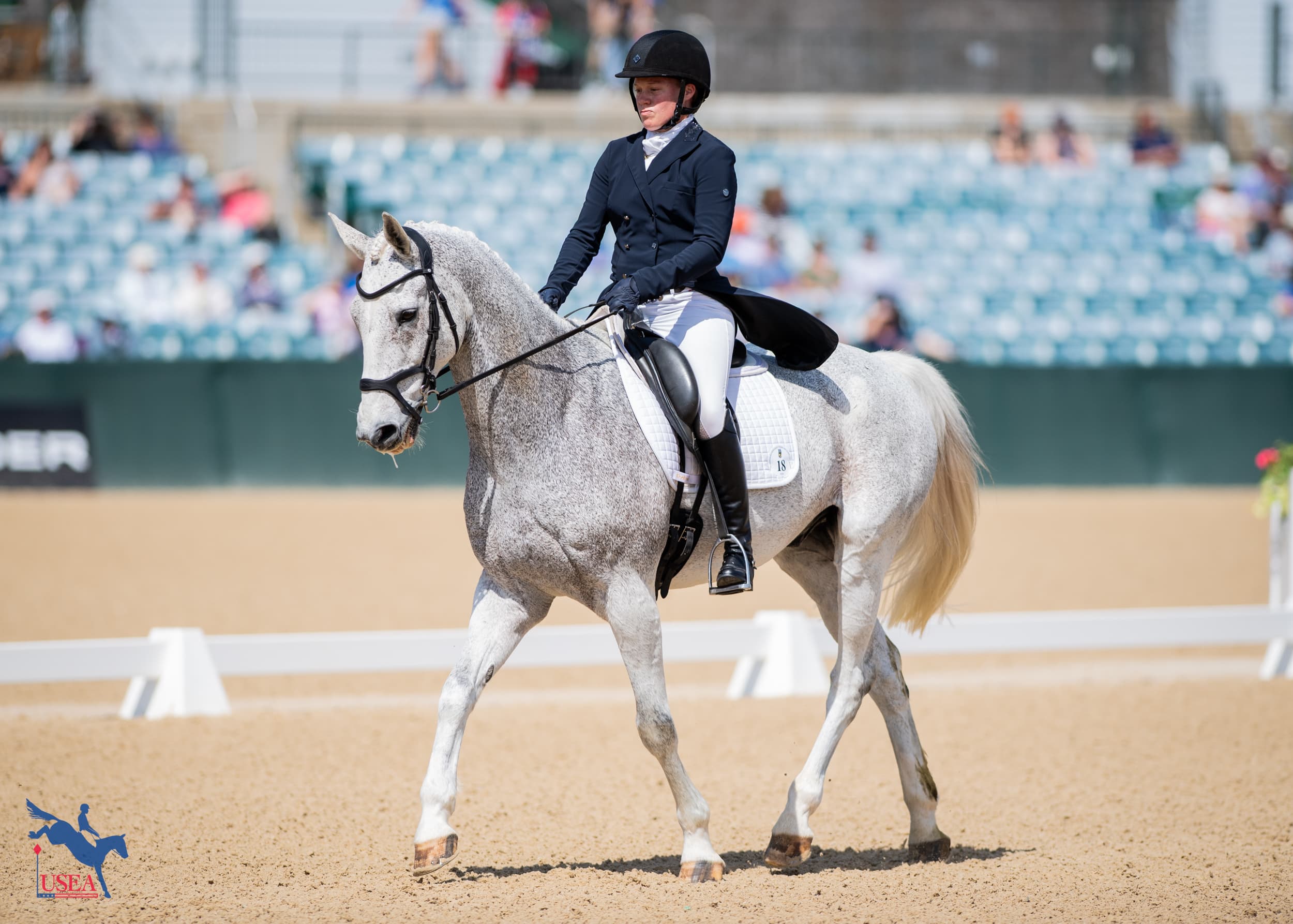 Arden Wildasin and Sunday Times are in 16th. USEA/Lindsay Berreth photo