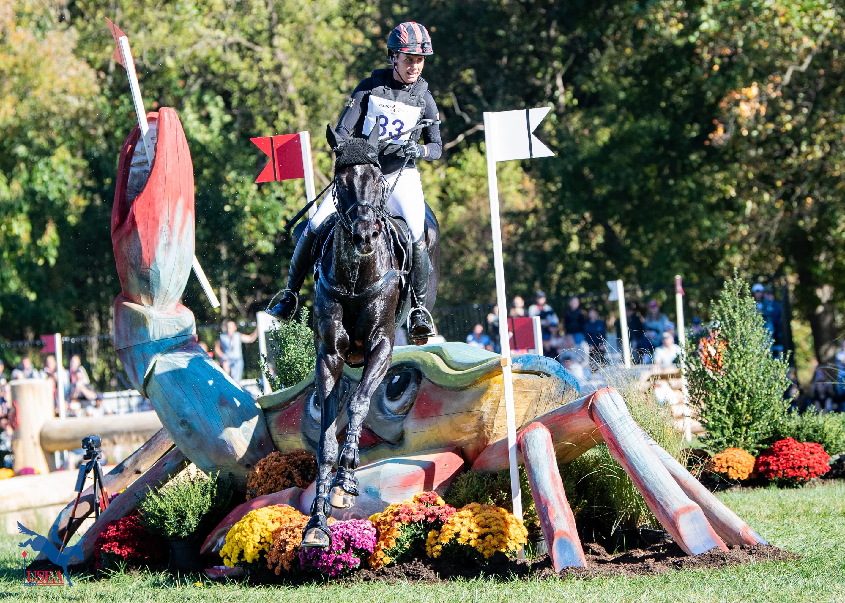 6th I Carolina Pamukcu and HSH Blake. USEA/Lindsay Berreth photo