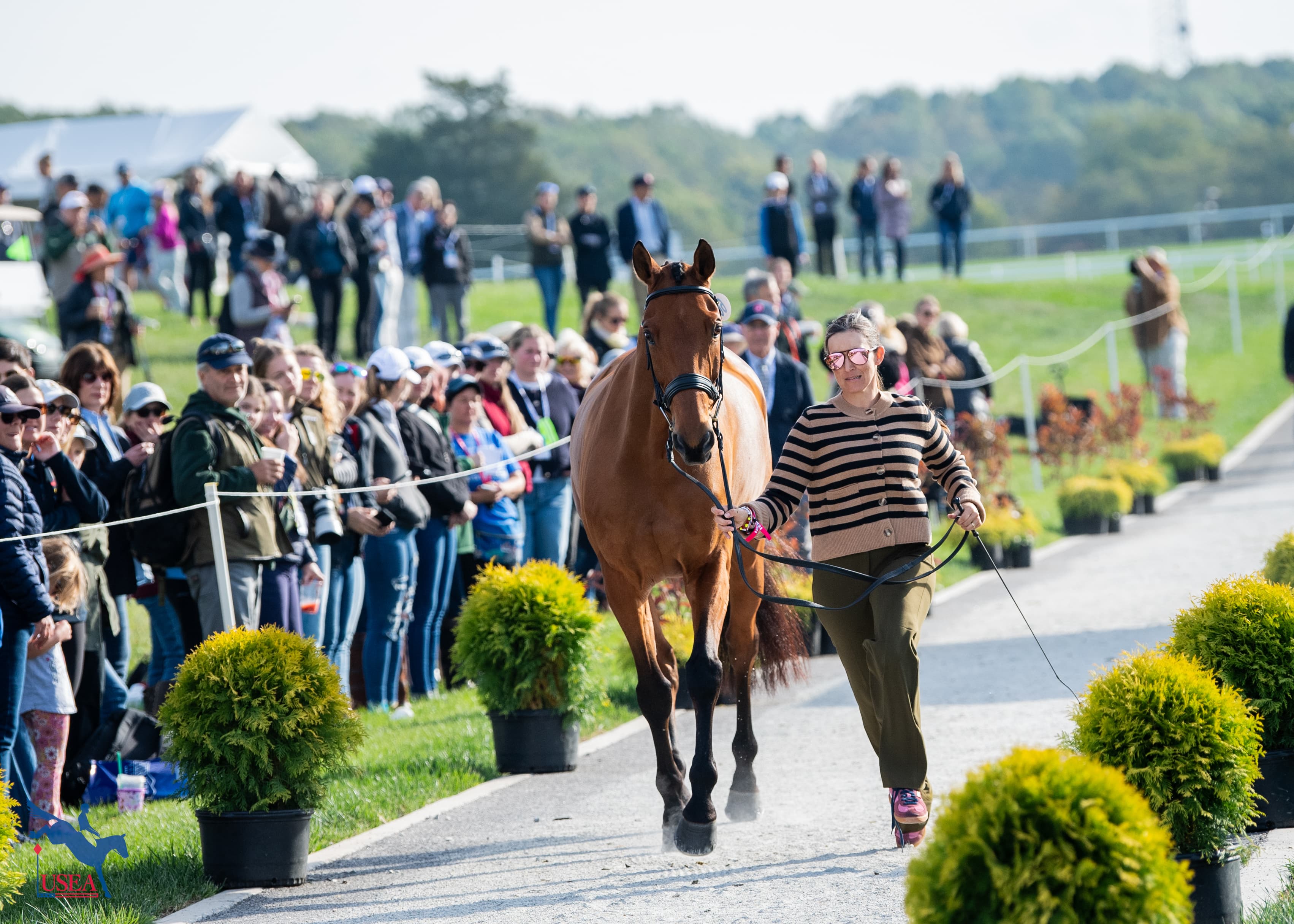 Lindsay Traisnel and Bacyrouge. USEA/Lindsay Berreth photo