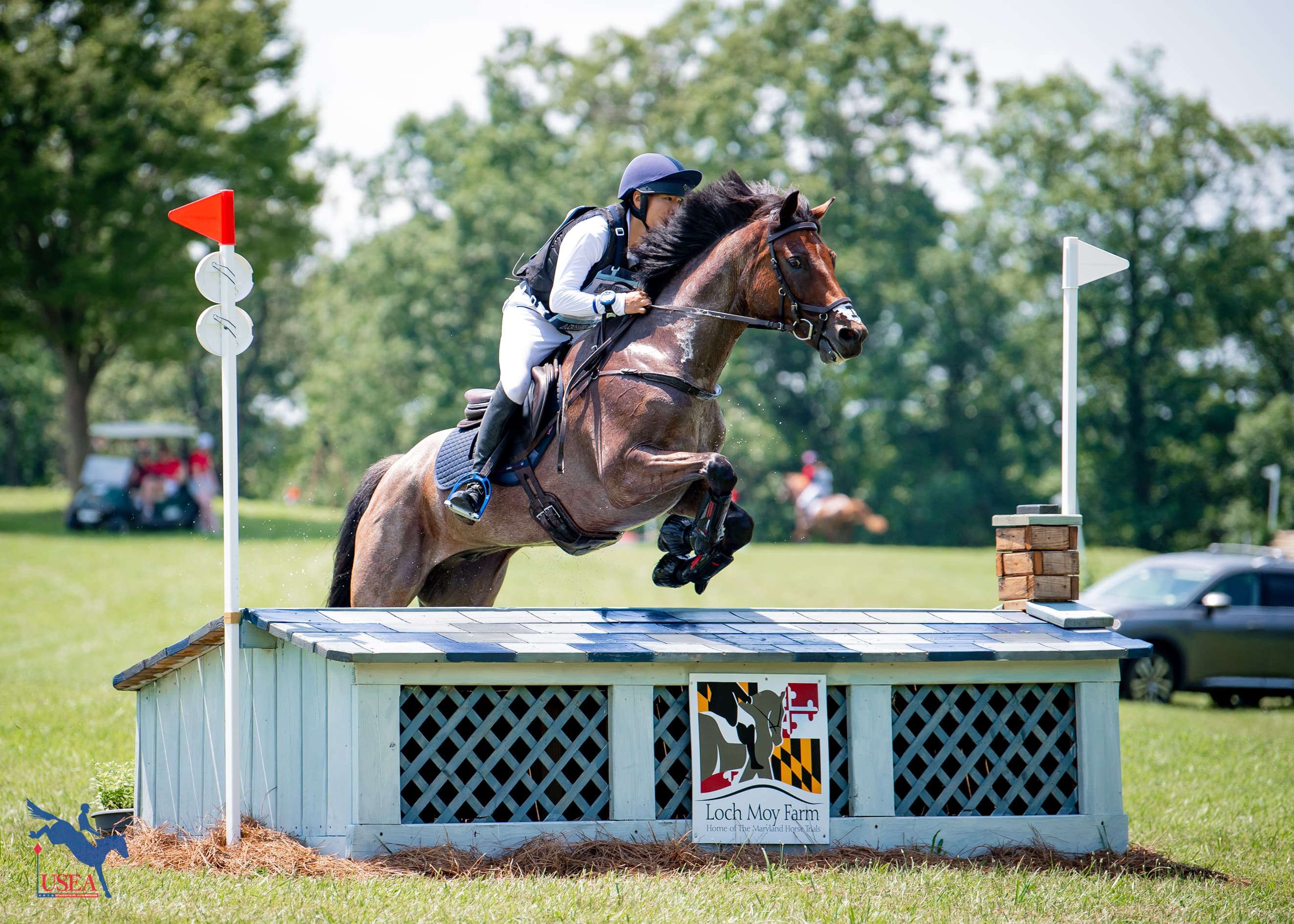 James Power and Brambleridge Ponder The Truth are in bronze-medal position in the CCIYJ1*-S. USEA/Lindsay Berreth photo