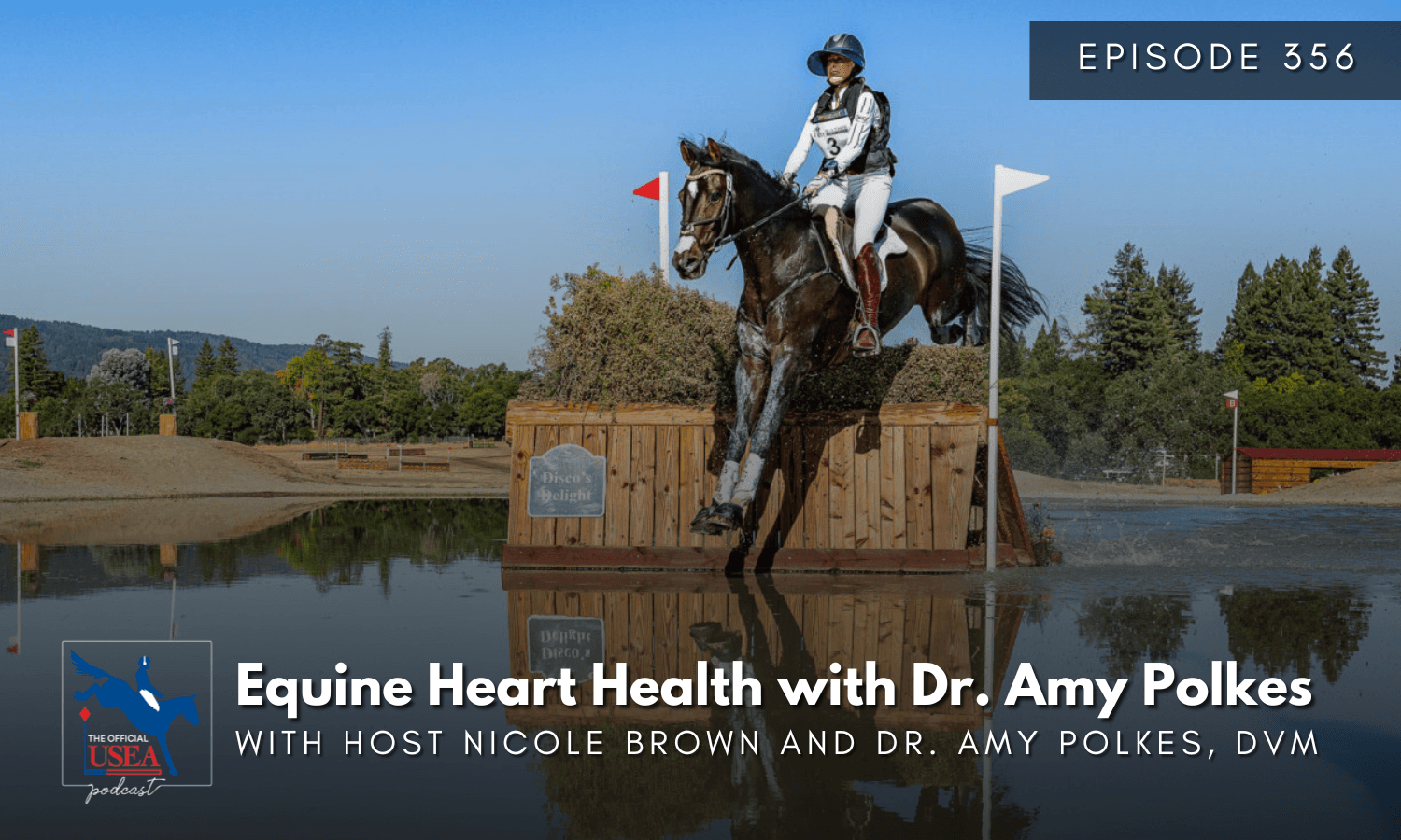 USEA Podcast #356: Equine Heart Health with Dr. Amy Polkes