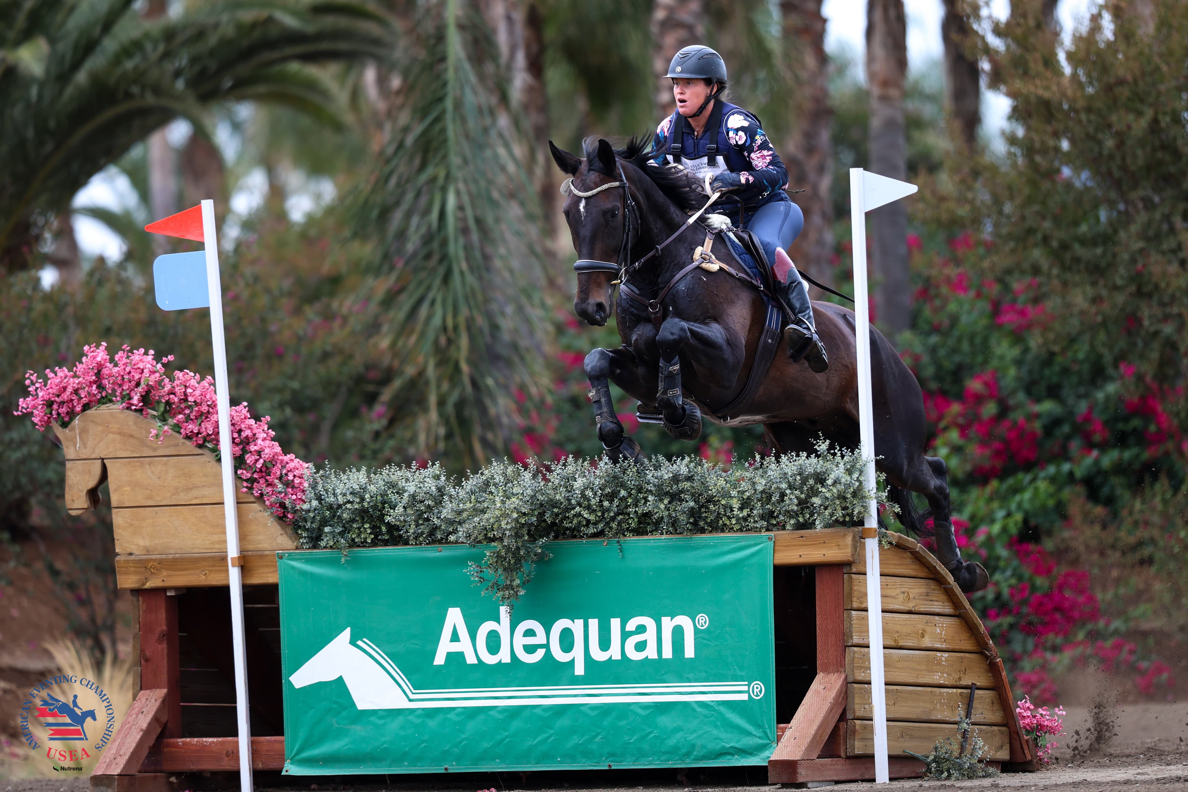 USEA/Cassidy Klein photo