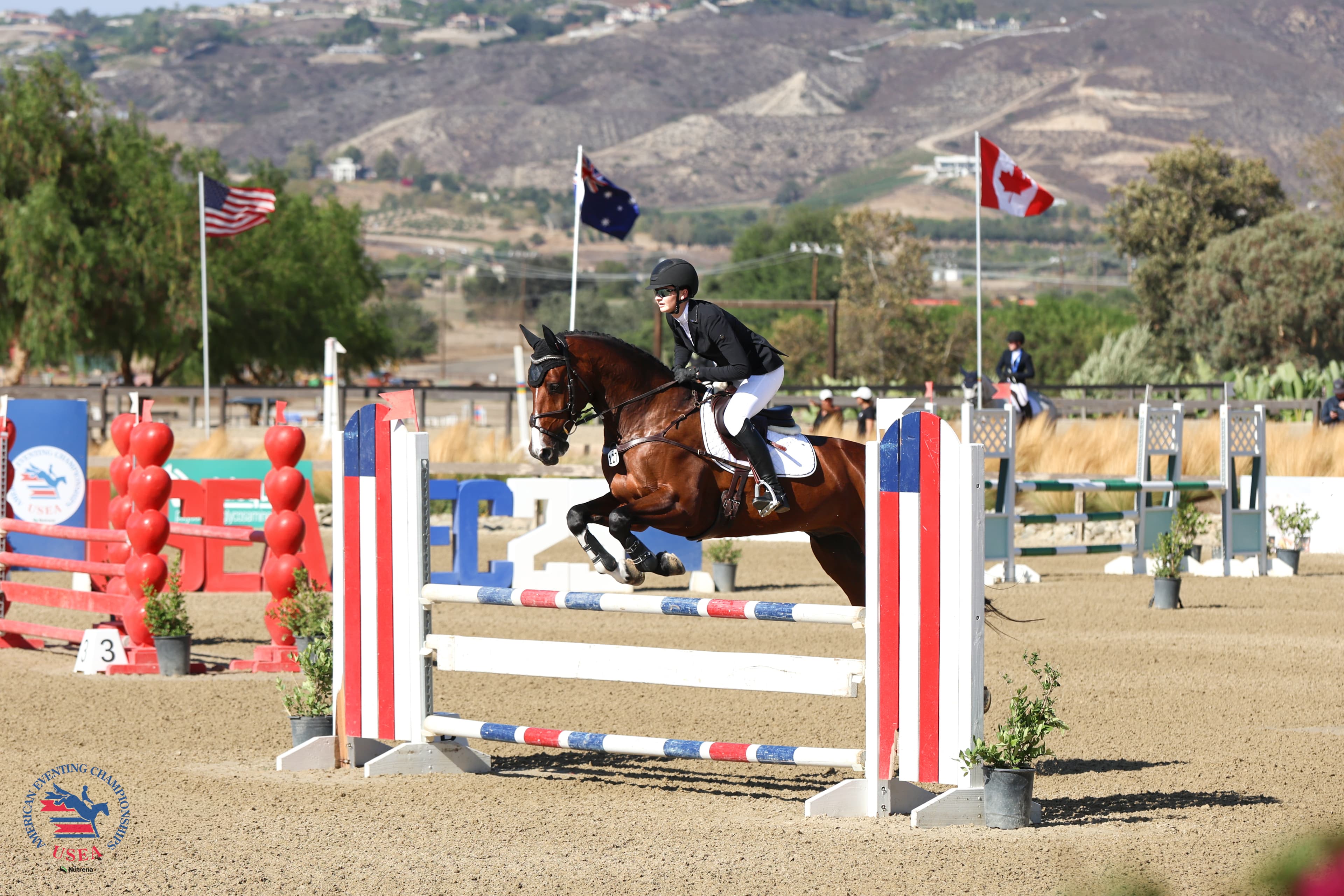 USEA/Cassidy Klein photo