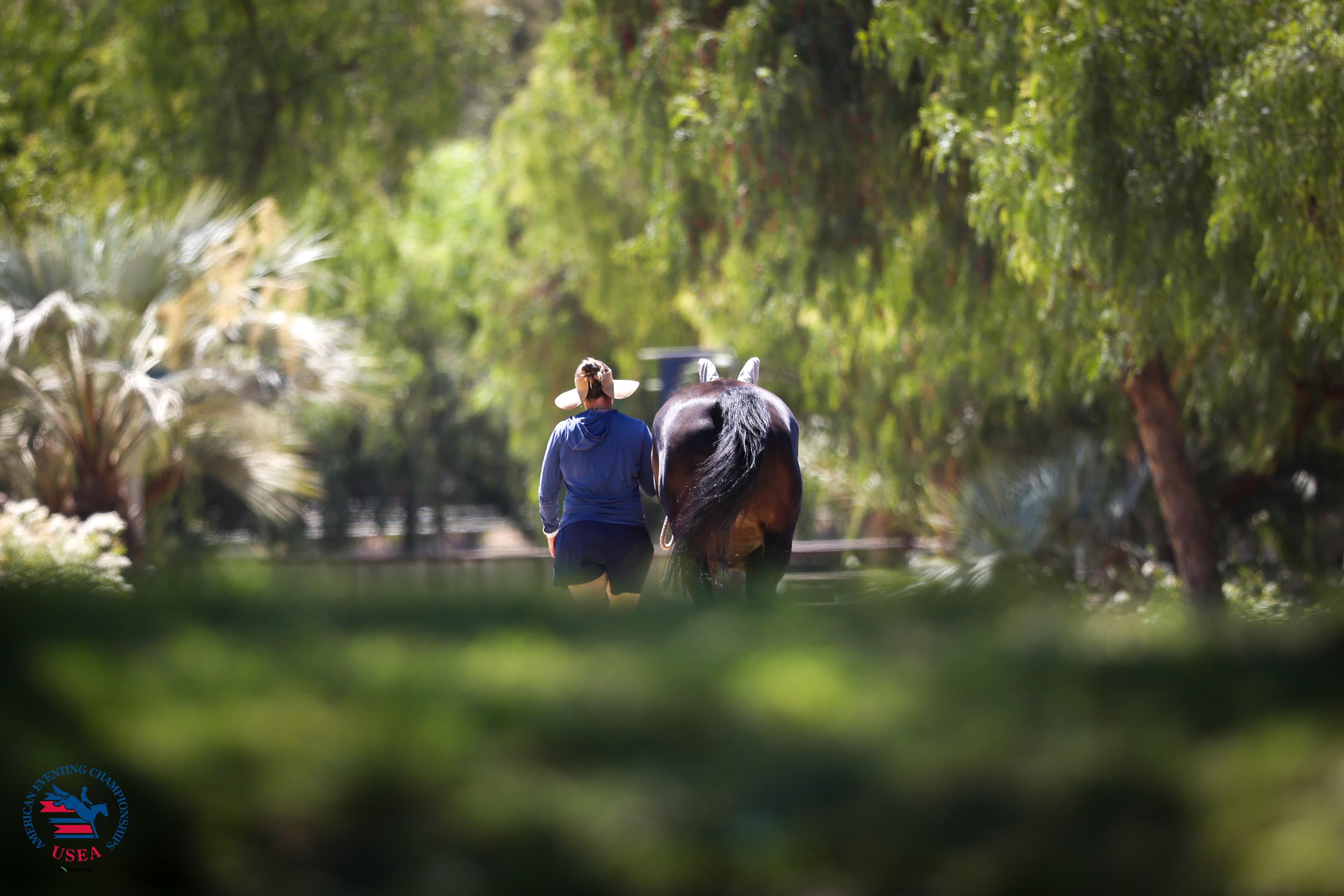 USEA/Cassidy Klein photo