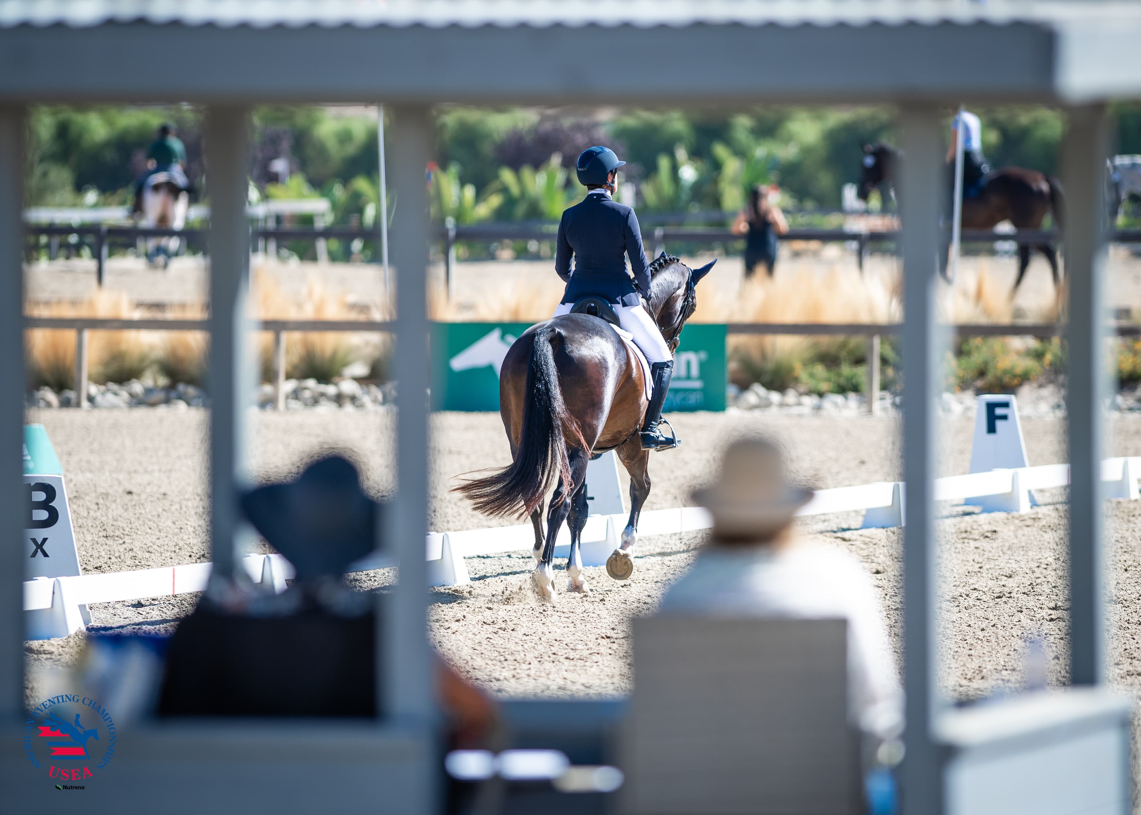 USEA/Lindsay Berreth photo