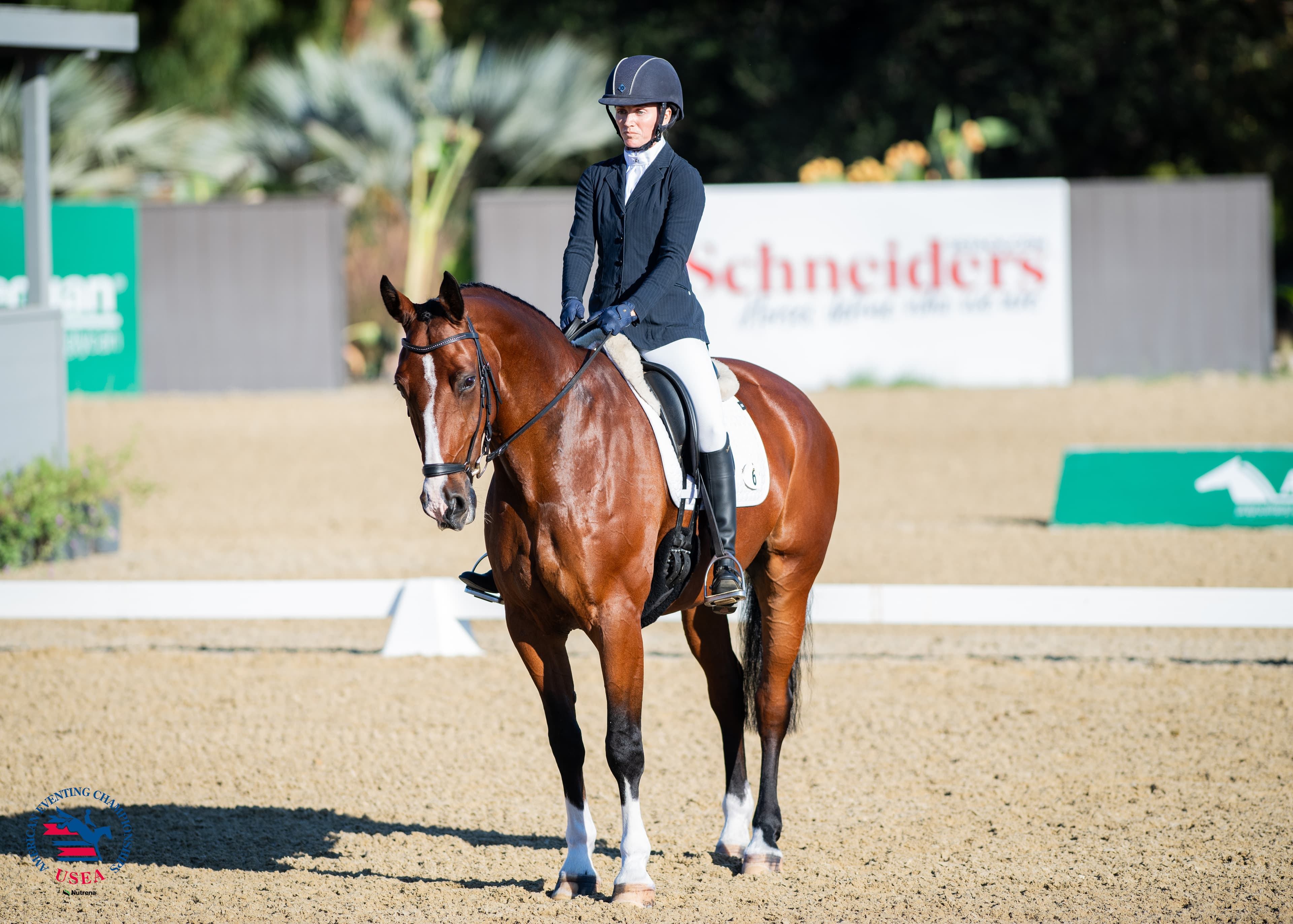 USEA/Lindsay Berreth photo