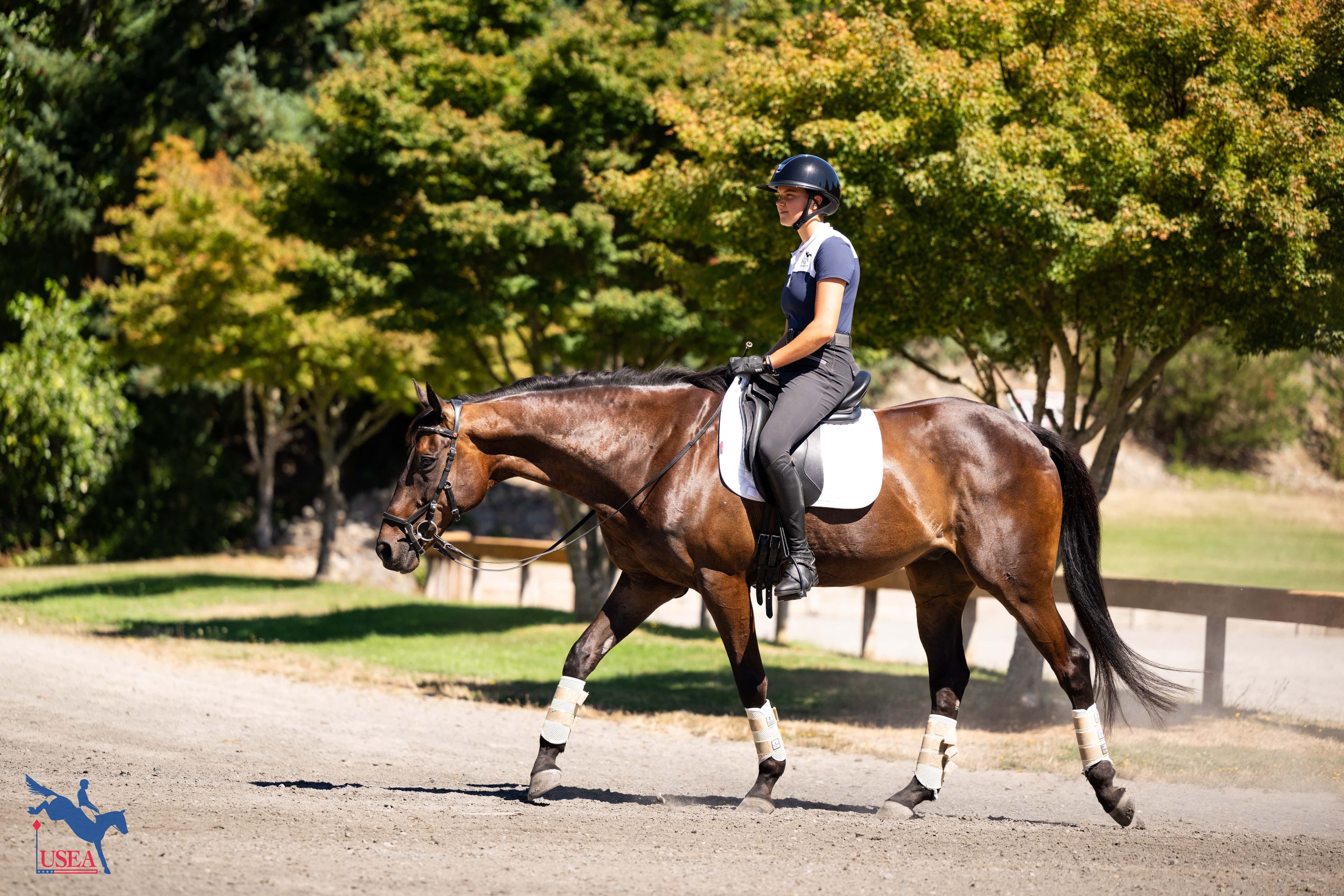 USEA/Atalya Boytner photo