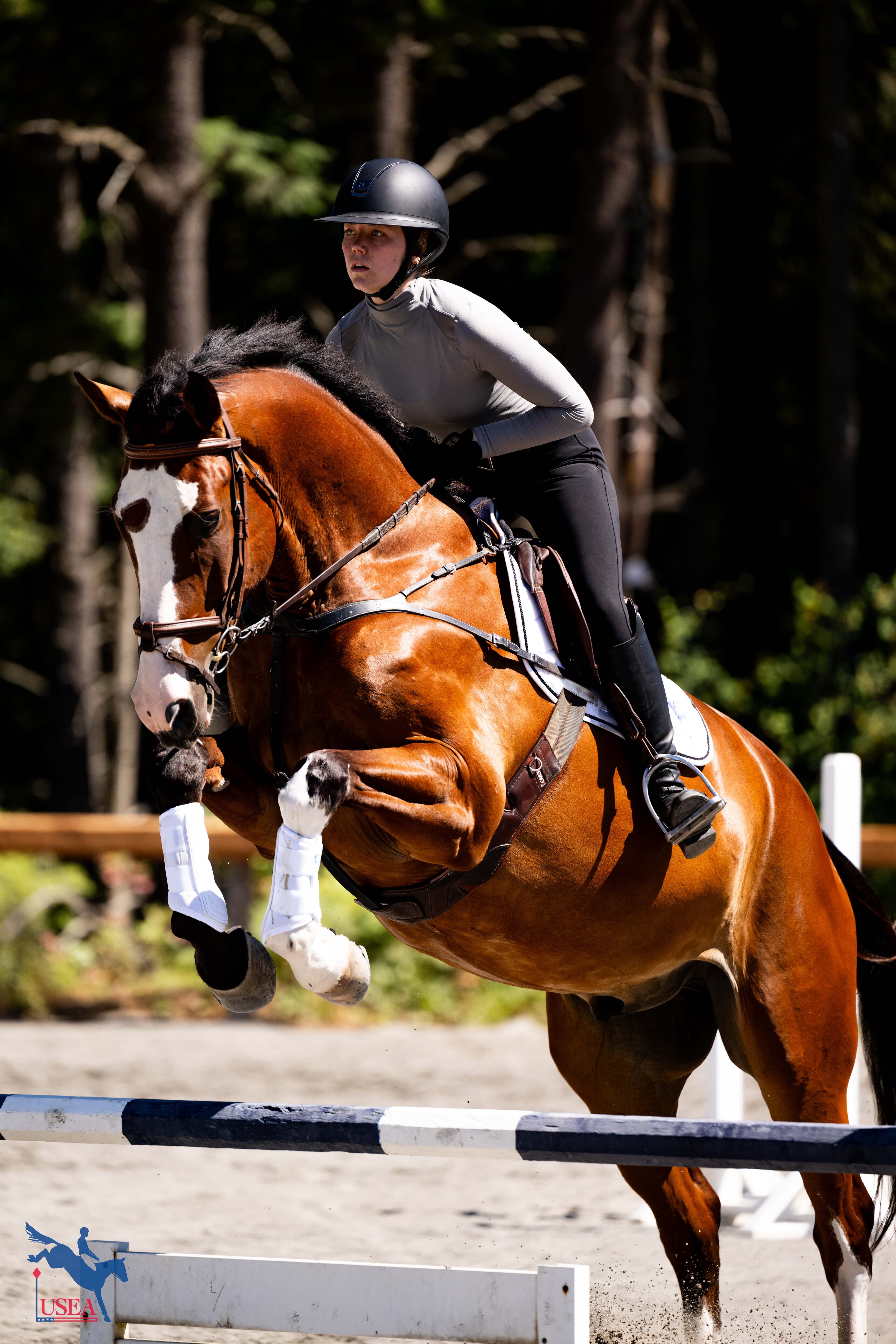 USEA/Atalya Boytner photo