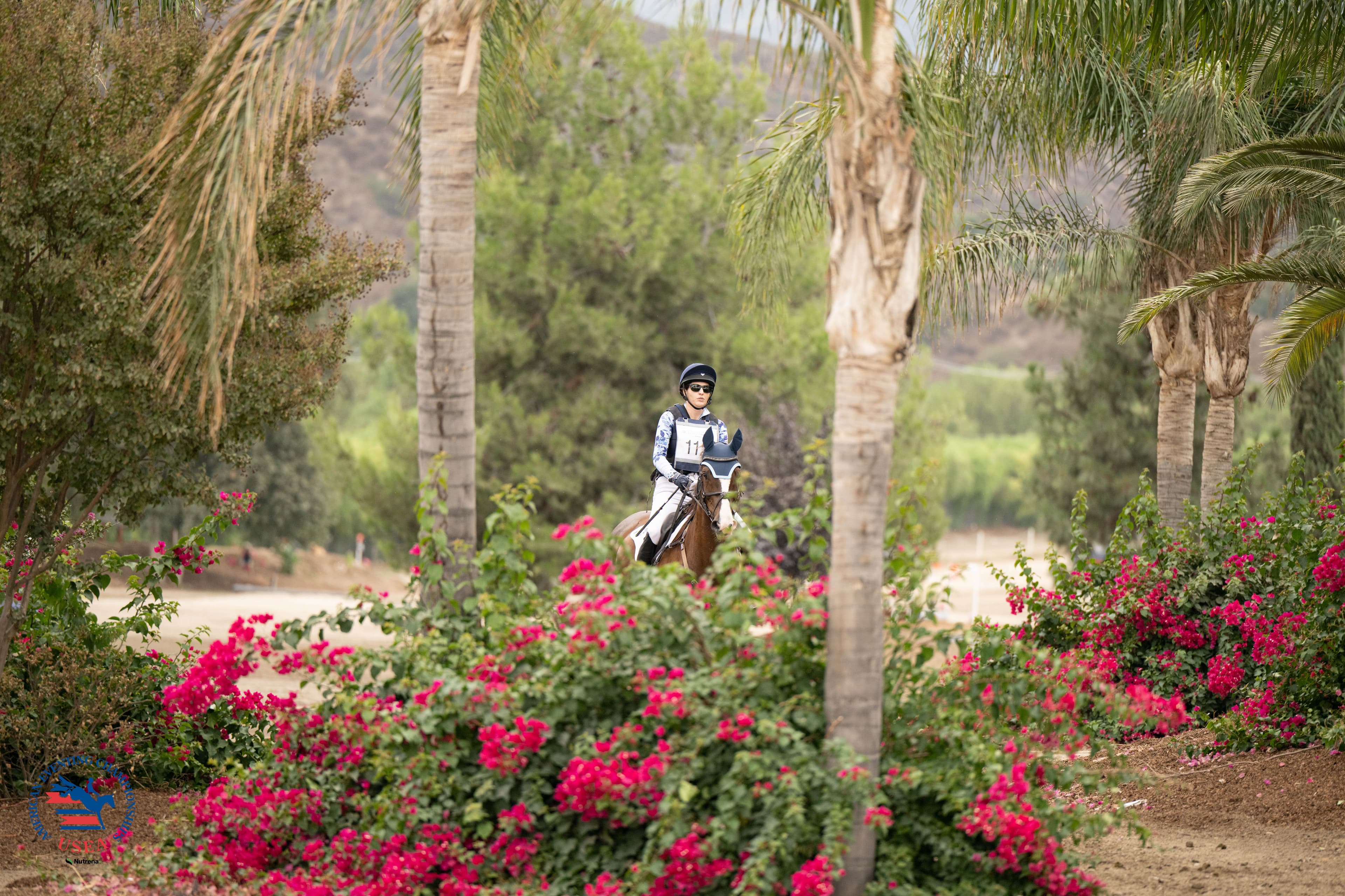 USEA/Cassidy Klein photo