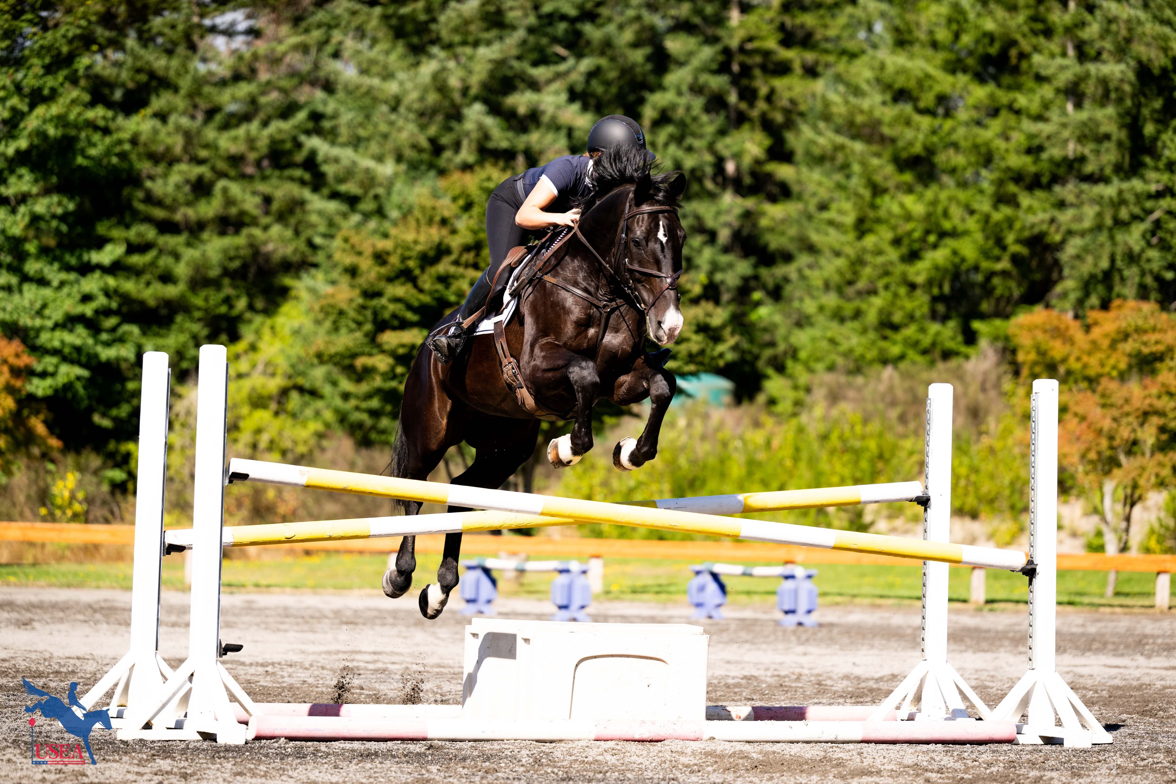 Hanni Sreenan. USEA/Atalya Boytner photo