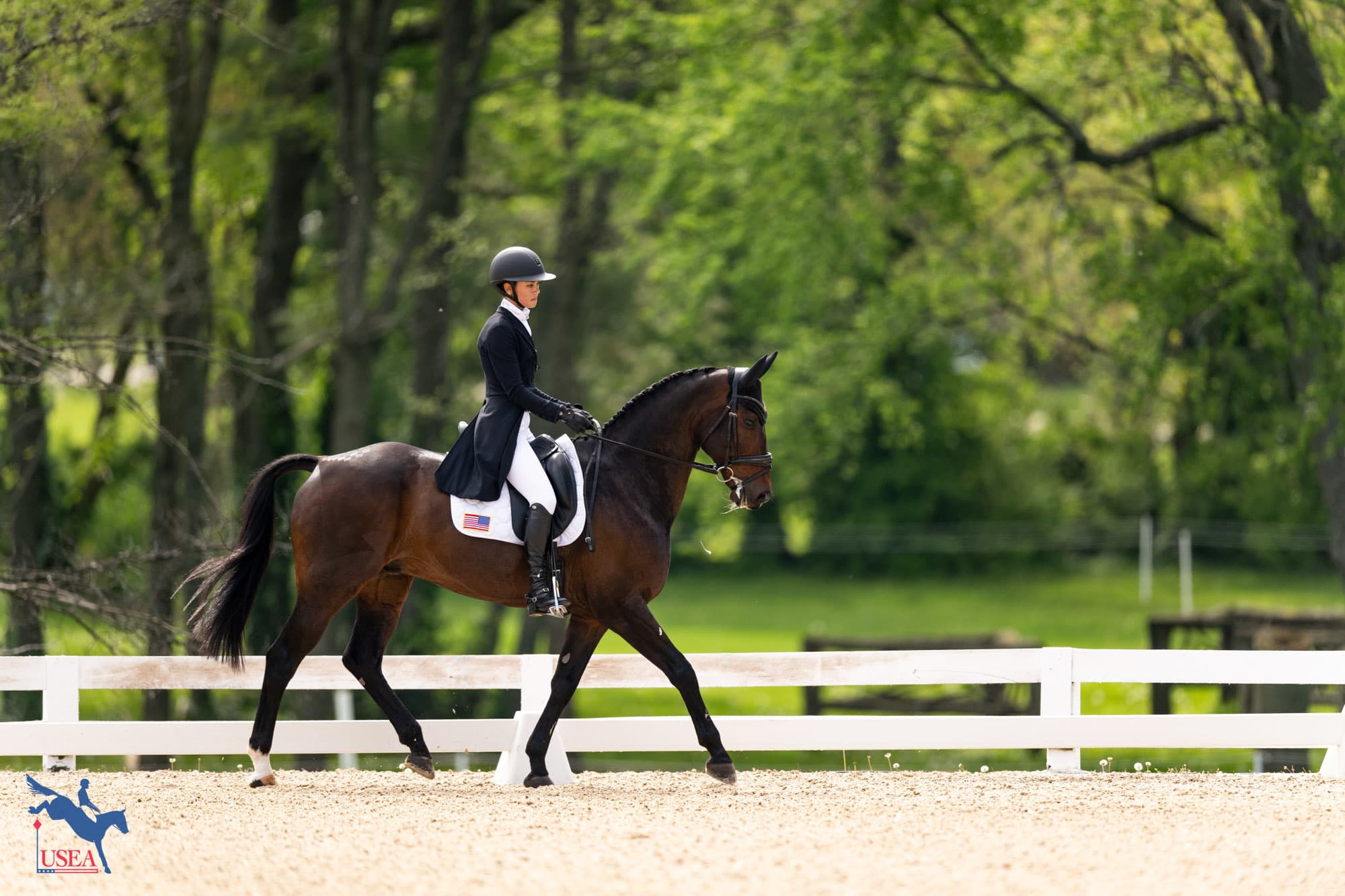 Molly Duda and Disco Traveler. USEA/Atalya Boytner photo