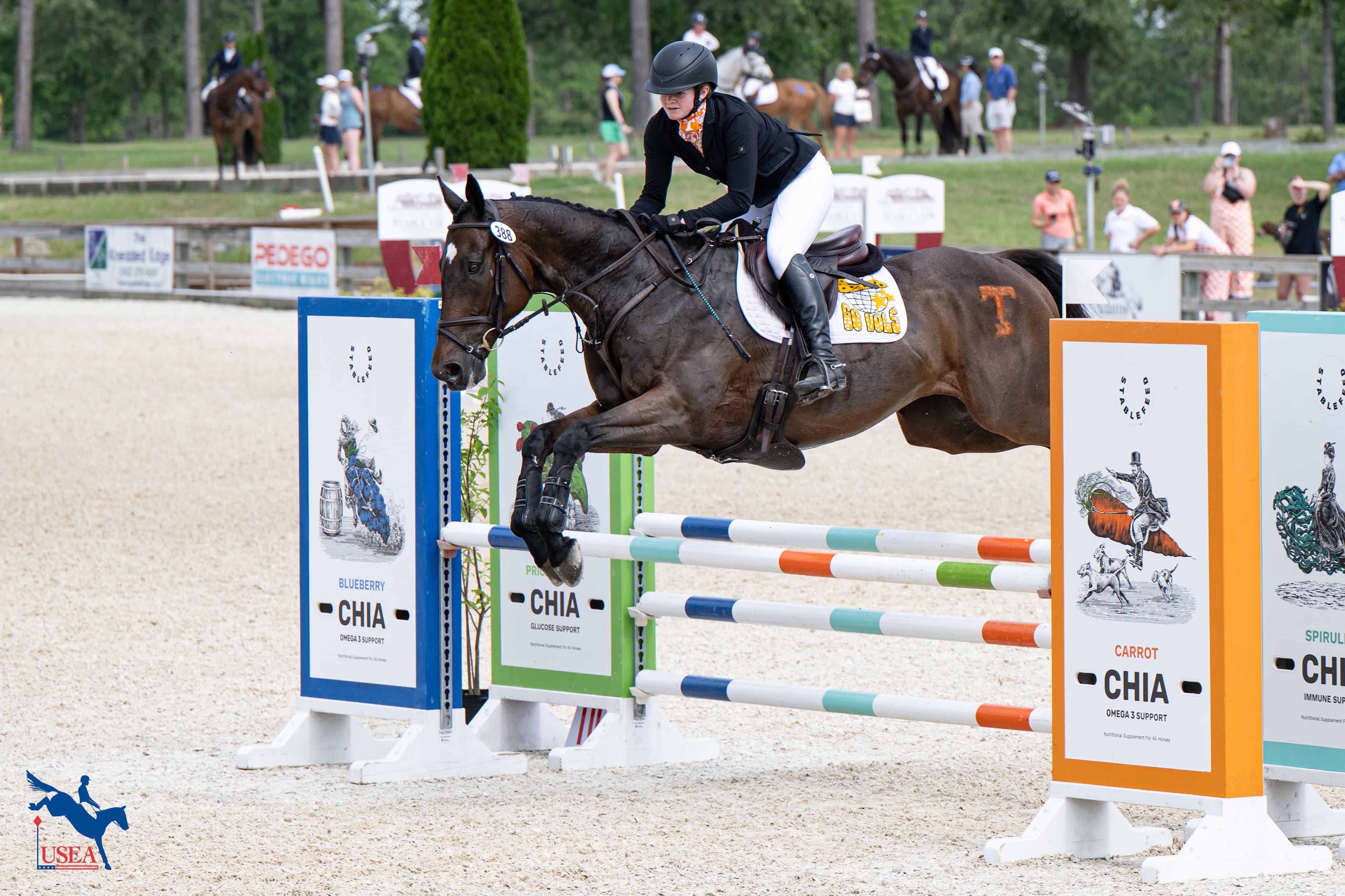 USEA/Veronica Green-Gott photo