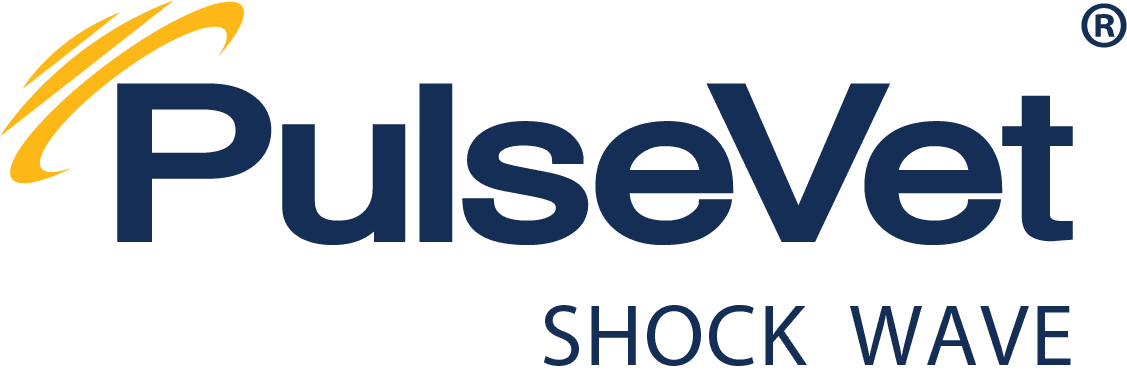 Official Shock Wave of the USEA